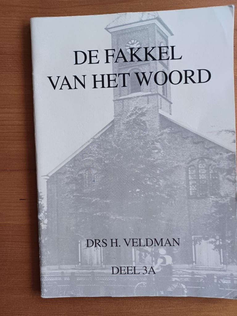 De fakkel van het Woord 3A - Geref. blijven in de 19e eeuw, Boeken, Gelezen, Drs. H. Veldman, Christendom | Protestants, Ophalen of Verzenden