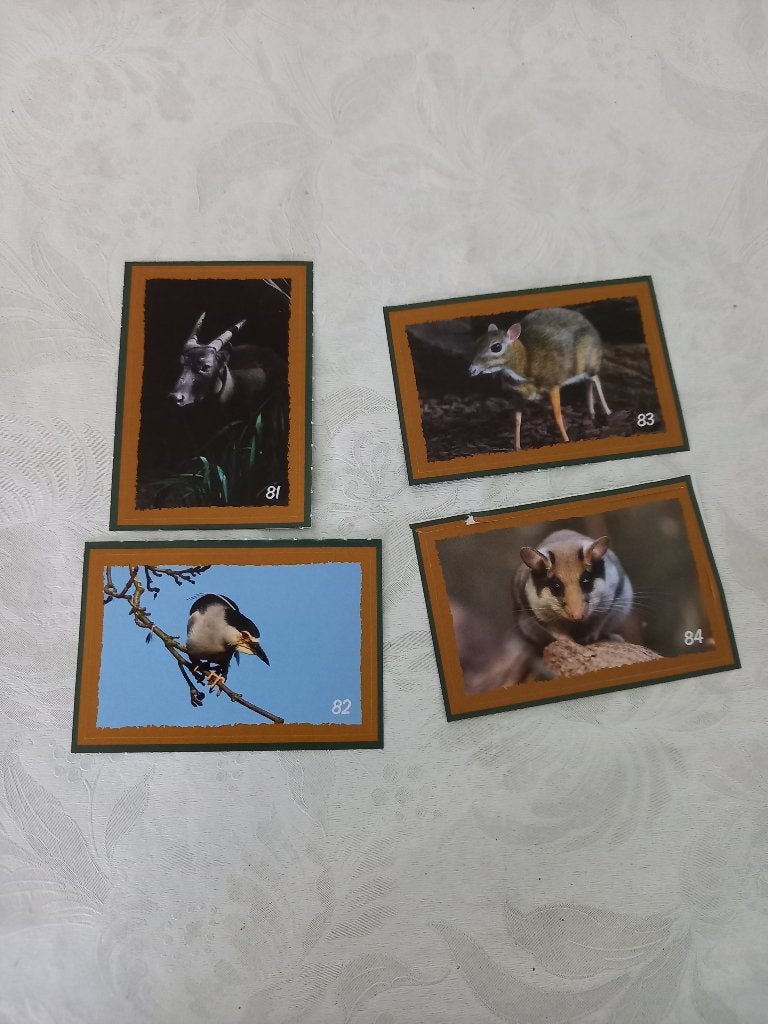 Verborgen parels Artis stickers, Verzamelen, Dekamarkt, Ophalen