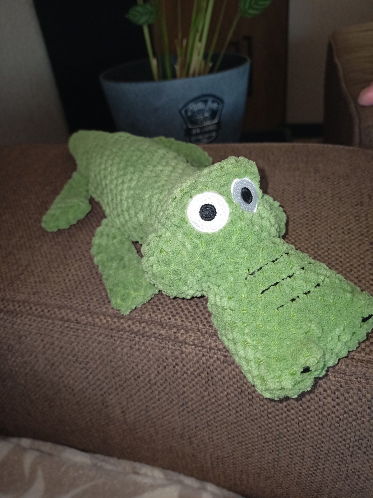 Krokodil, kruidvat, hondenspeelgoed., Ophalen of Verzenden, Nieuw, Knuffels