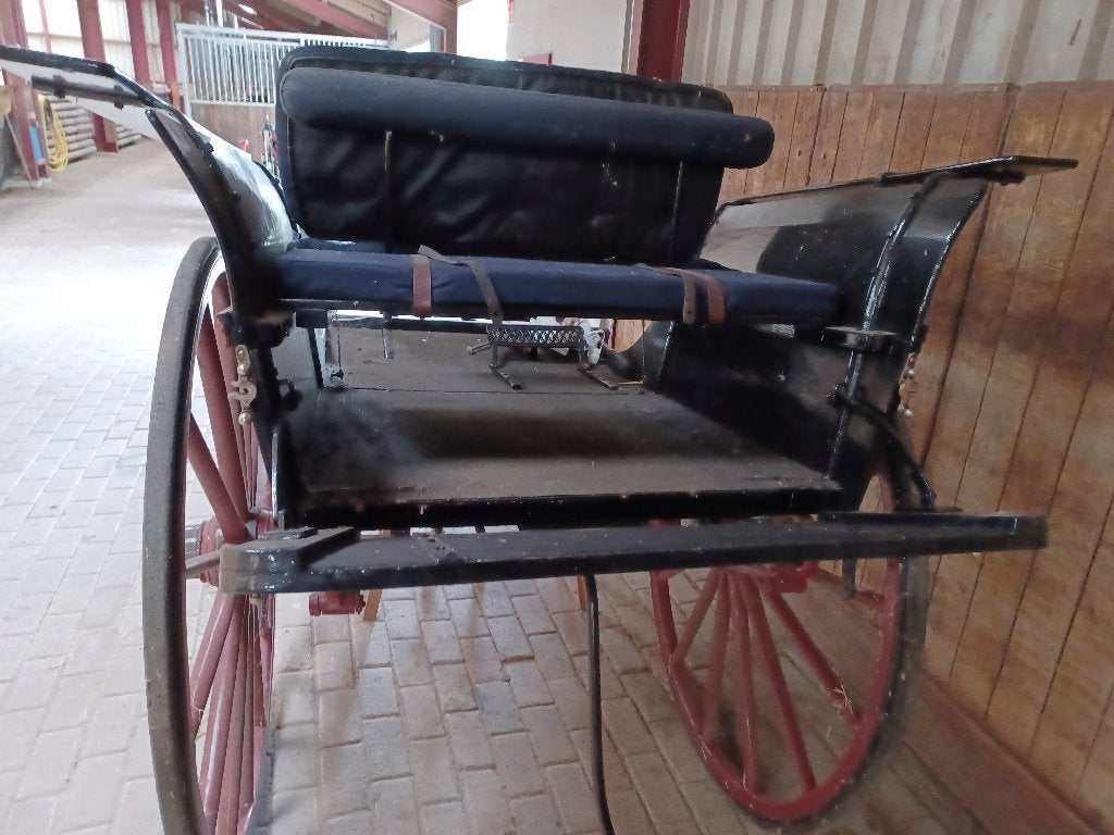 Ralli rijtuig, Overige typen, Paard