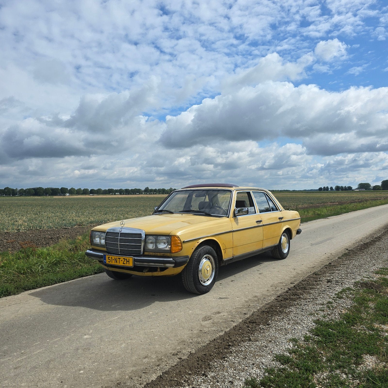Mercedes-Benz 200-Serie 2.5 250 AUT 1982 Geel, Automaat, 2525 cc, 1465 kg, Geel