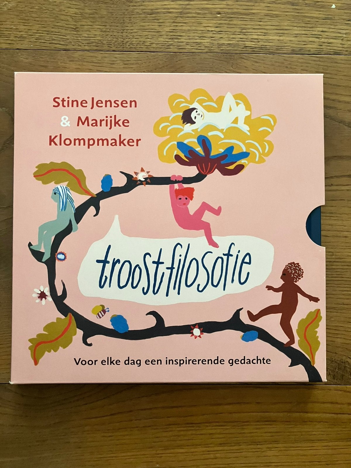 Troostfilosofie, Voor elke dag een inspirerende gedachte. Nw, Ophalen, Nieuw, Algemeen