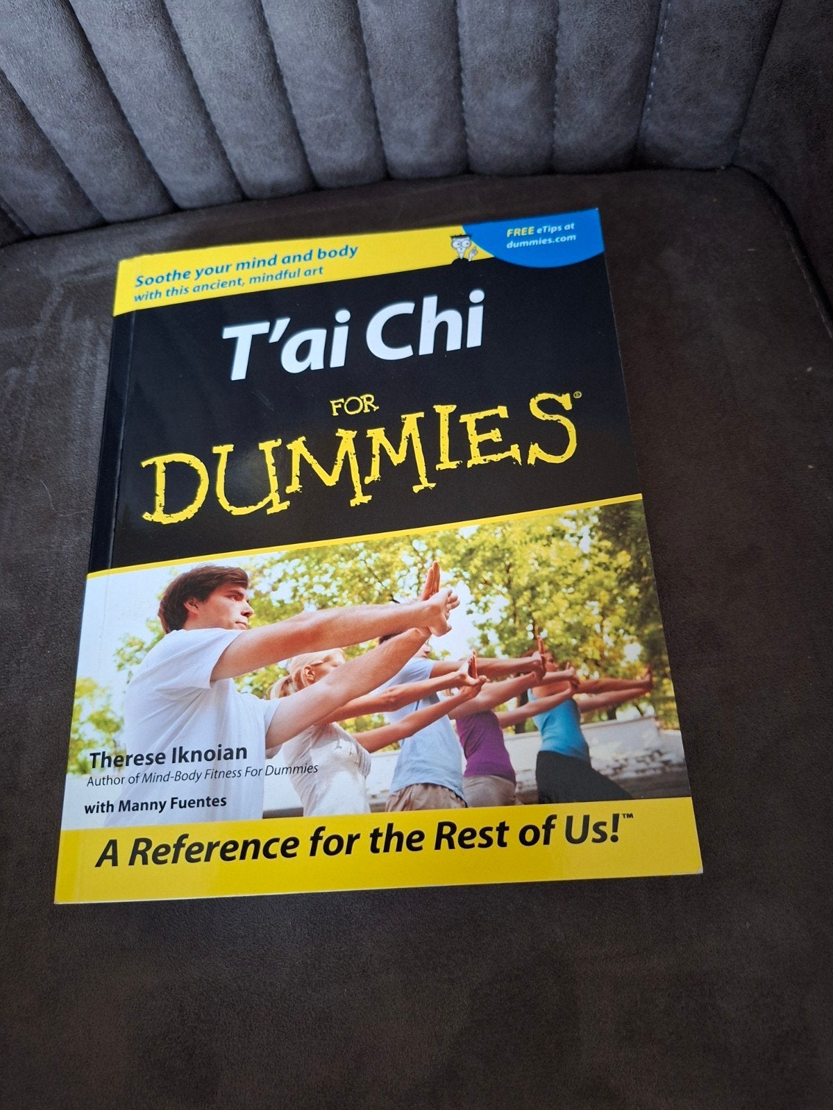 T'ai Chi For Dummies - Leer de oude kunst van T'ai Chi, Boeken, Ophalen of Verzenden, Zo goed als nieuw, Overige onderwerpen, Therese Iknoian