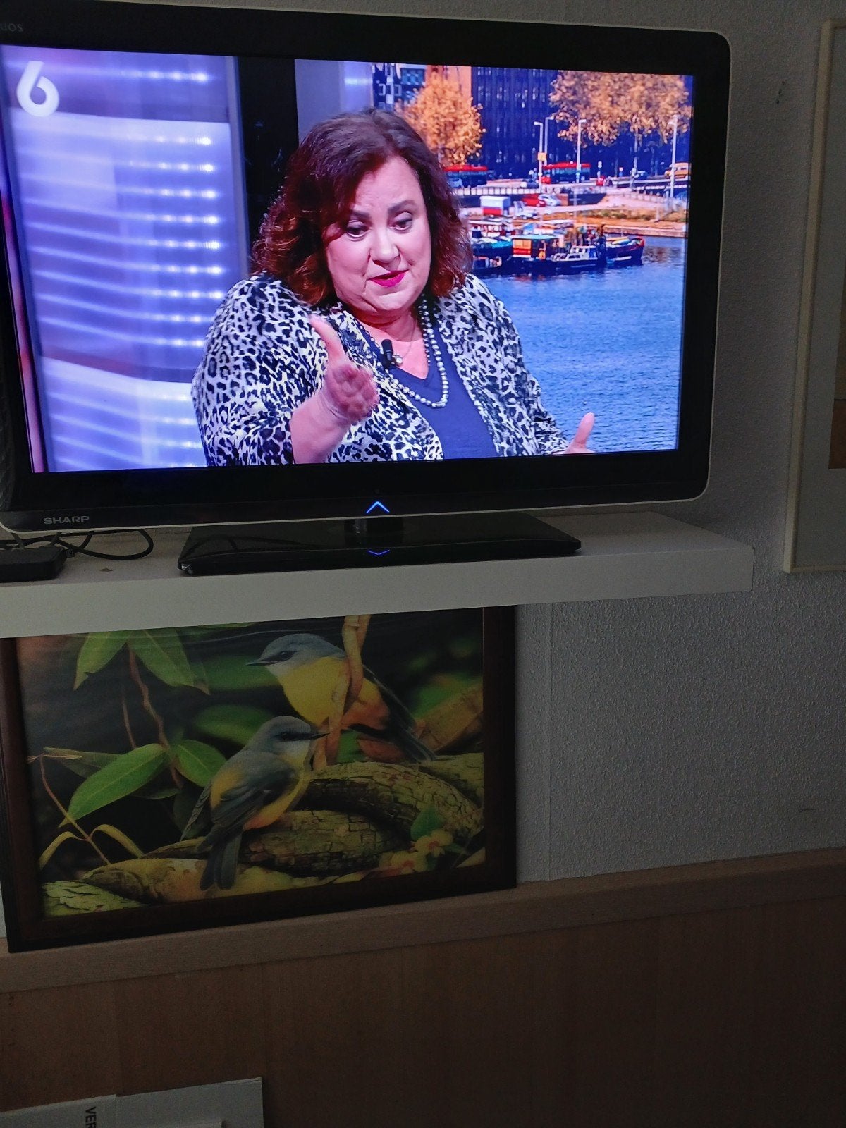 Sharp Aquos LCD TV - T70 model, Gebruikt, LCD, Ophalen of Verzenden, Sharp