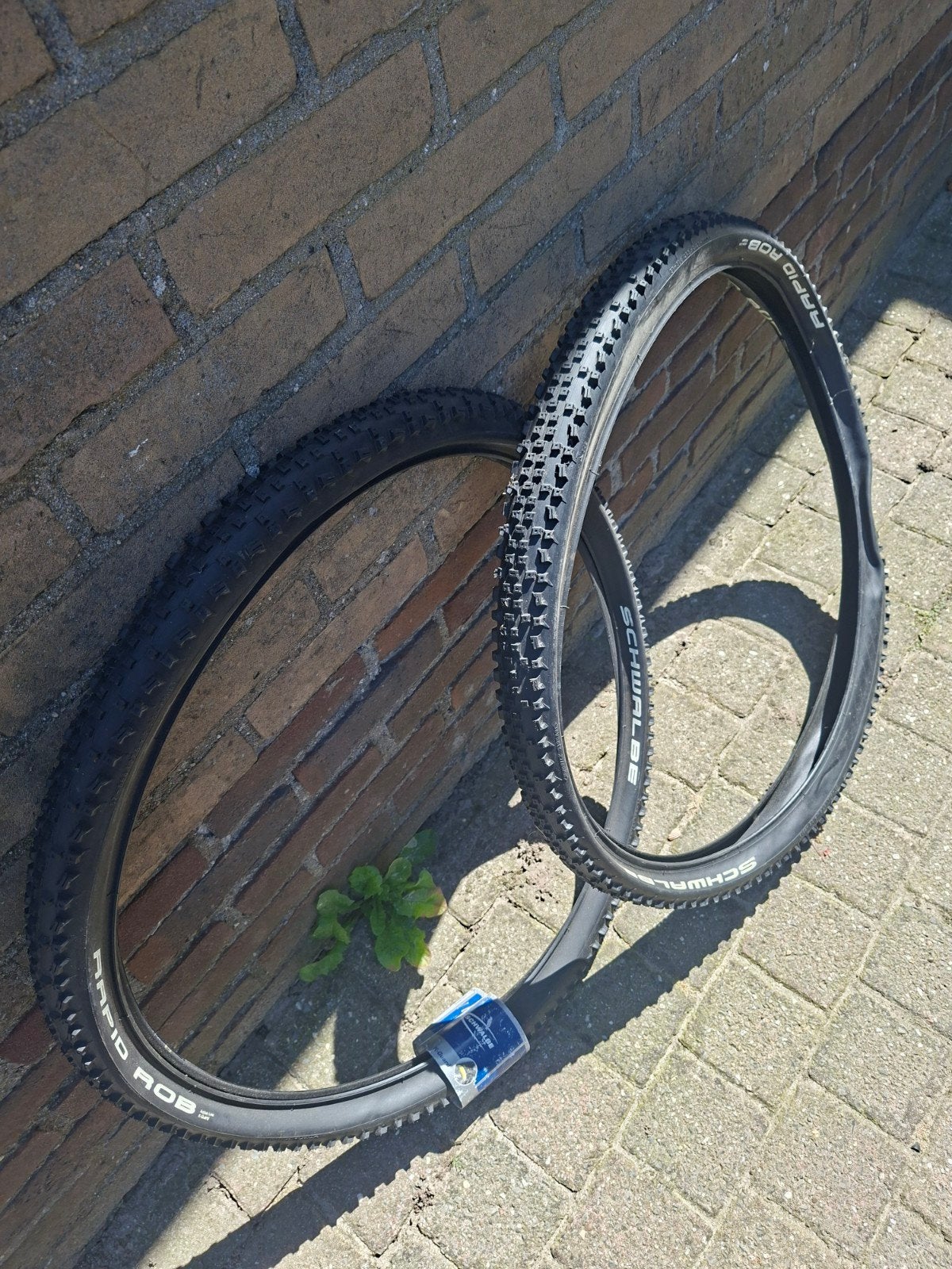 Schwalbe Rapid Rob 27.5 x 2.25 MTB banden (set van 2), Fietsen en Brommers, Band, Schwalbe, Nieuw, Ophalen of Verzenden