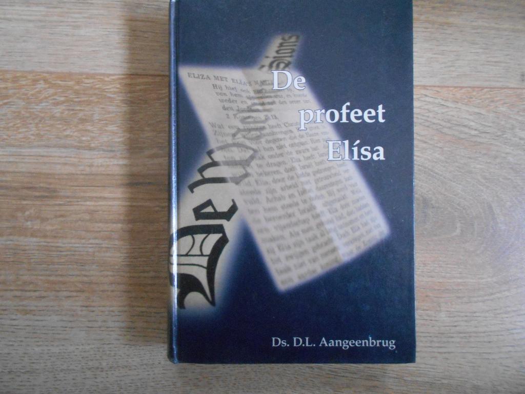Ds. D.L. Aangeenbrug De profeet Elisa, Ophalen of Verzenden, Zo goed als nieuw, Christendom | Protestants
