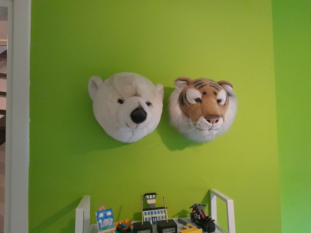 Accessoires jongenskamer | jungle, Ophalen, Gebruikt, Groen, Overige typen
