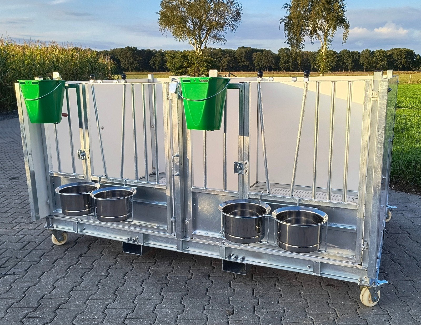 Duo eenlingbox, kalverbox, kalverhokken, Meerdere dieren