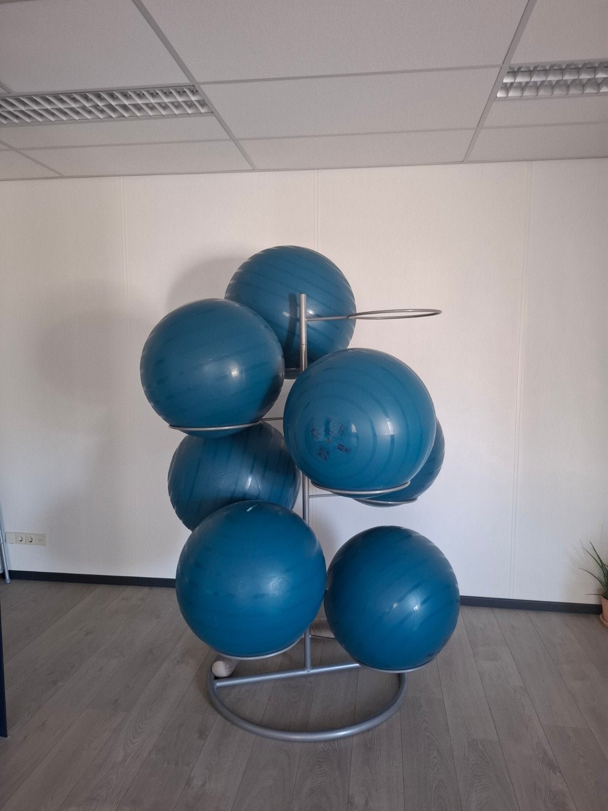 Ballenrek voor gymballen, Sport en Fitness, Fitnessmaterialen, Ophalen, Gebruikt, Overige typen
