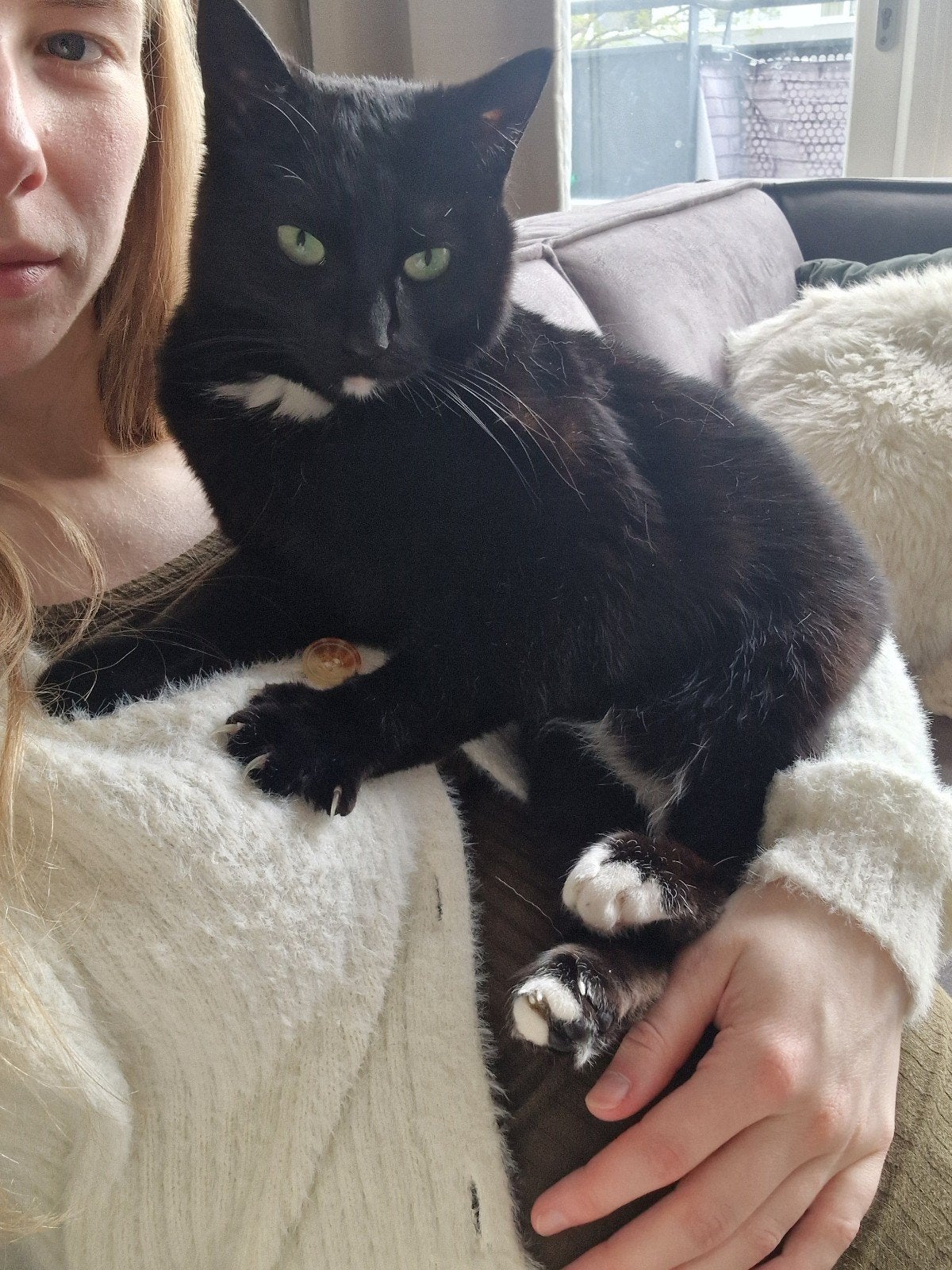 Lieve kleine poes, Dieren en Toebehoren, Poes, Kortharig, 6 jaar of ouder