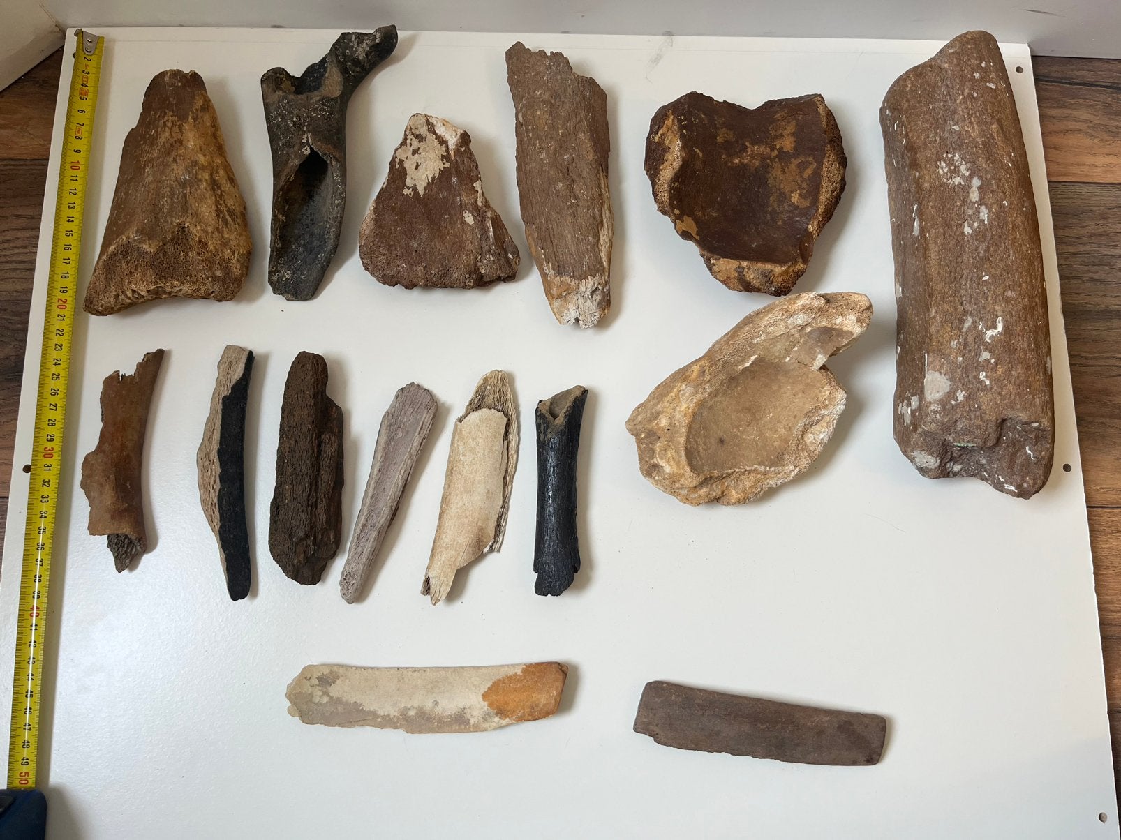 Mooie set fossiele botten, Verzamelen, Mineralen en Fossielen, Ophalen of Verzenden, Fossiel