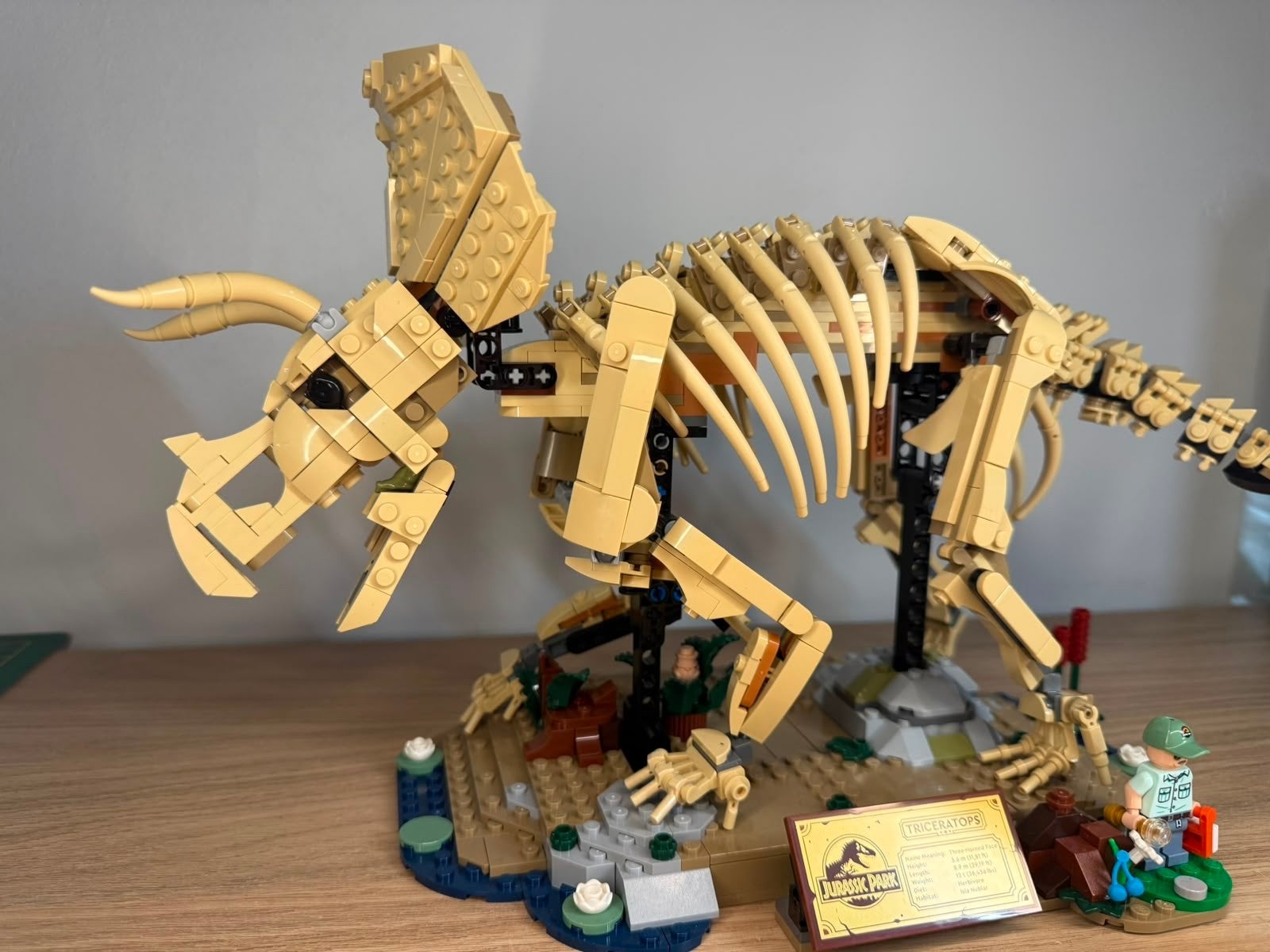 LEGO Dinosau Fossils - Triceratops (77985), Ophalen of Verzenden, Zo goed als nieuw, Overige merken