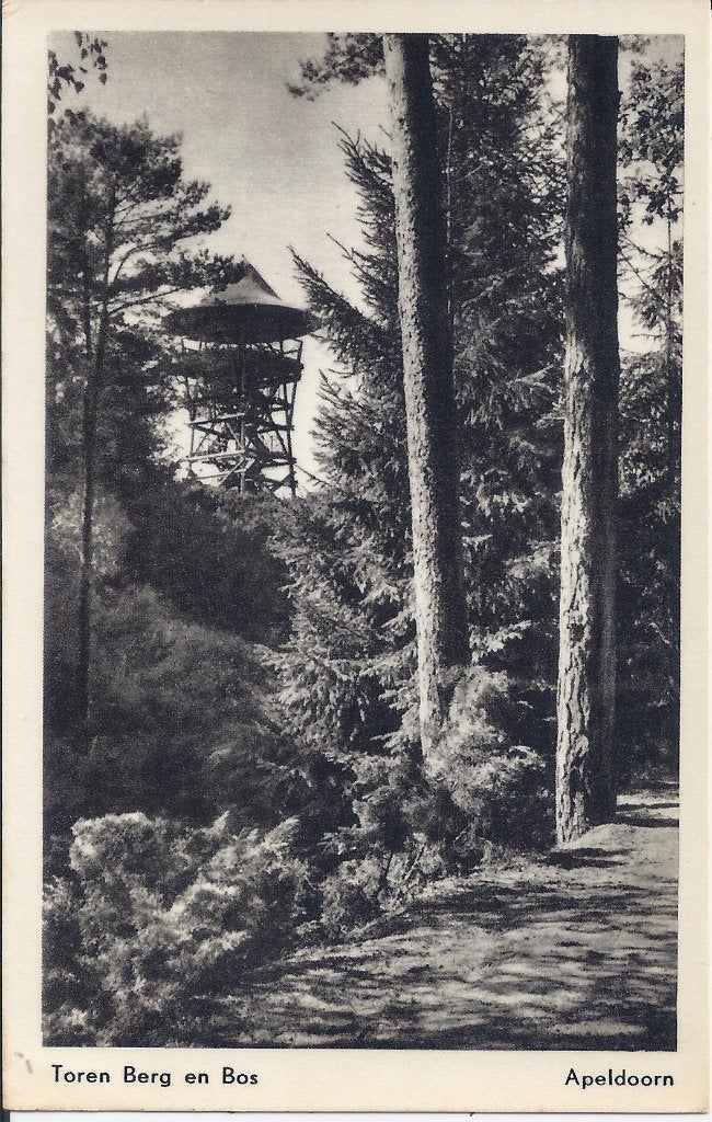 Apeldoorn toren berg en bos gelopen ansichtkaart ( b273), Ophalen of Verzenden, 1960 tot 1980, Gelopen, Gelderland
