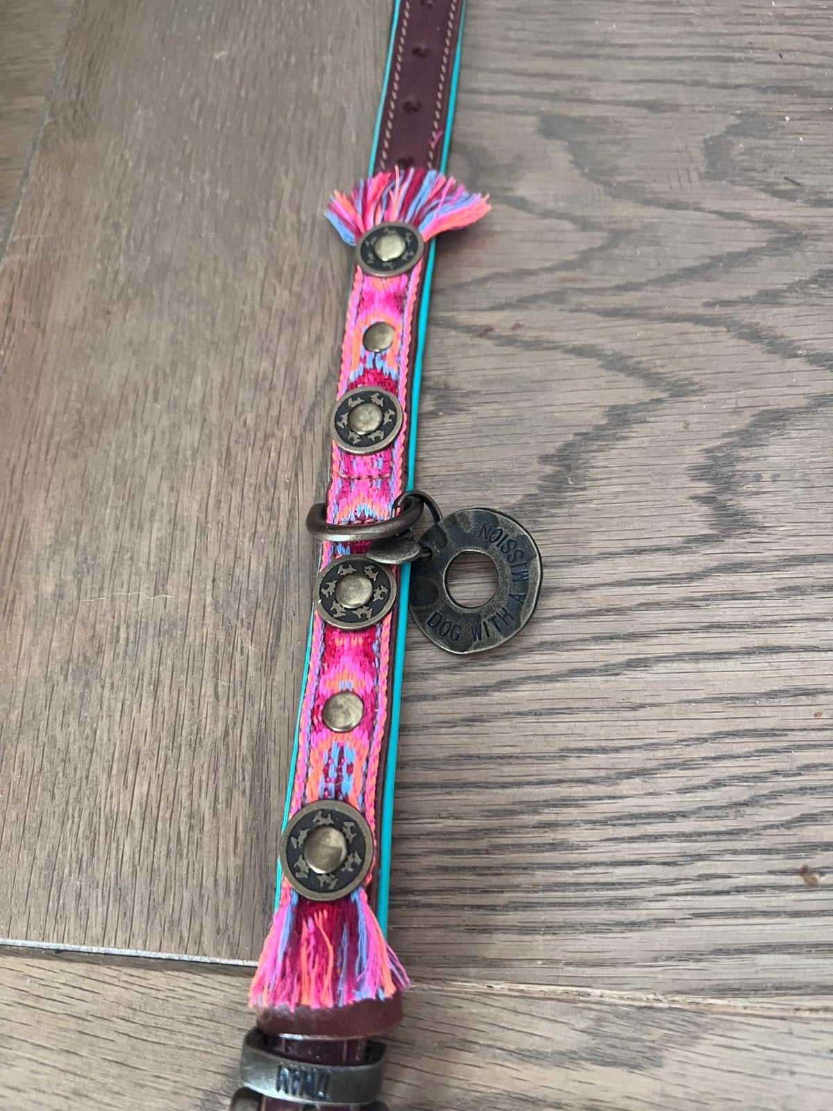 Mooie halsband voor kleine honden van DWAM, Ophalen of Verzenden, Nieuw