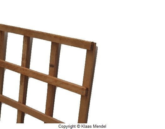 Trellisschermen Hardhout 56x180 cm, Tuin en Terras, Ophalen, Minder dan 100 cm, Nieuw, 150 tot 200 cm