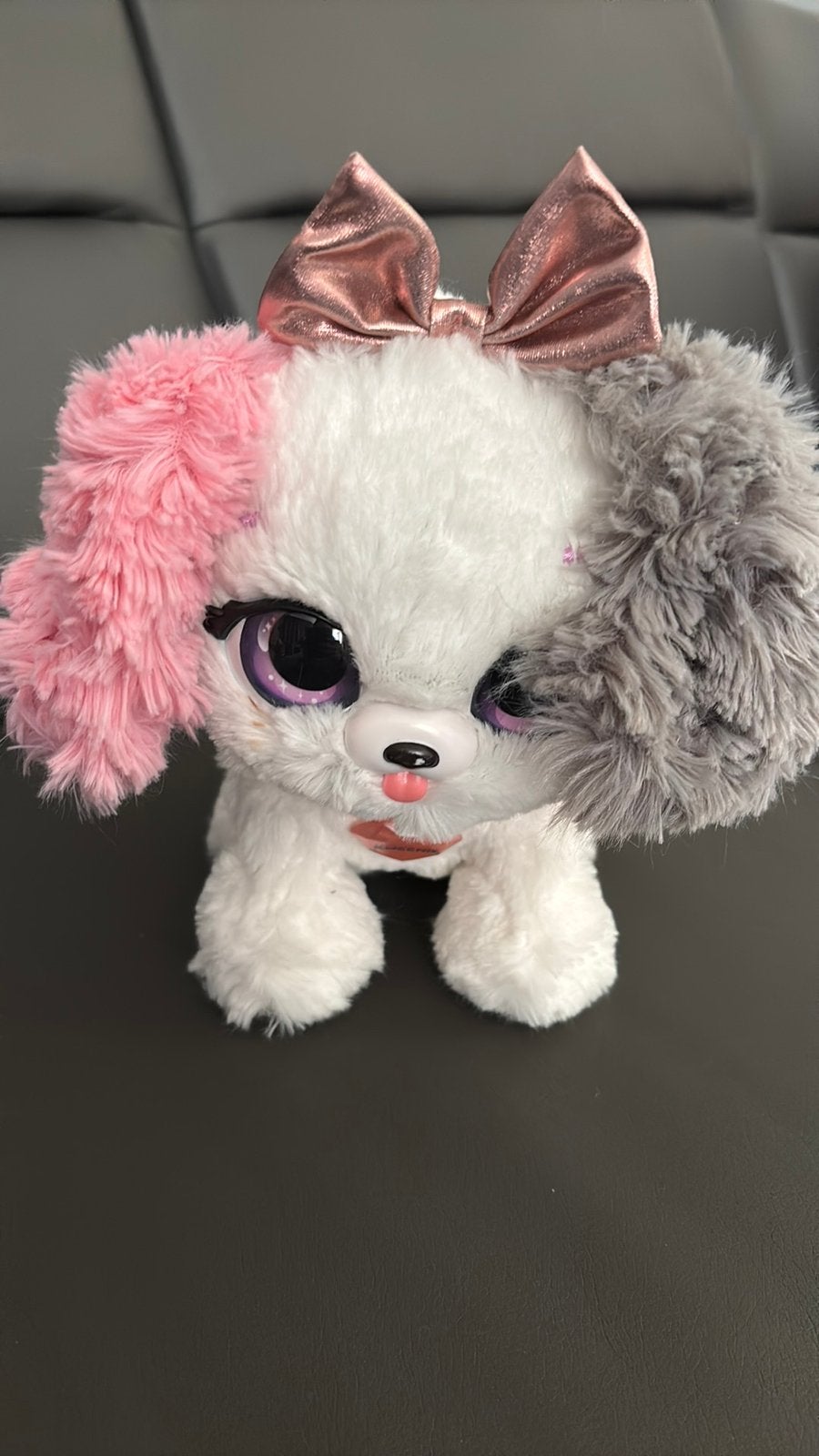 Hondje, Ophalen of Verzenden, Hond