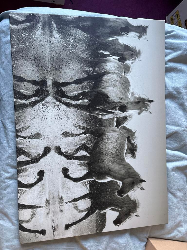 Canvas poster met rennende paarden - Zwart-wit, Ophalen, Nieuw, Foto of Poster, 75 cm of meer