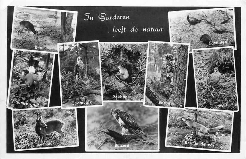 377-141-017 Garderen, Verzenden, Voor 1920, Gelderland