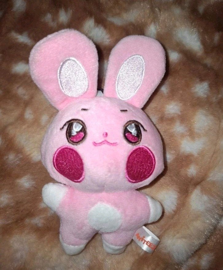 Ateez aniteez ddeongbyeoli (Seonghwa) Plush Keychain, Verzenden, Zo goed als nieuw, Overige typen