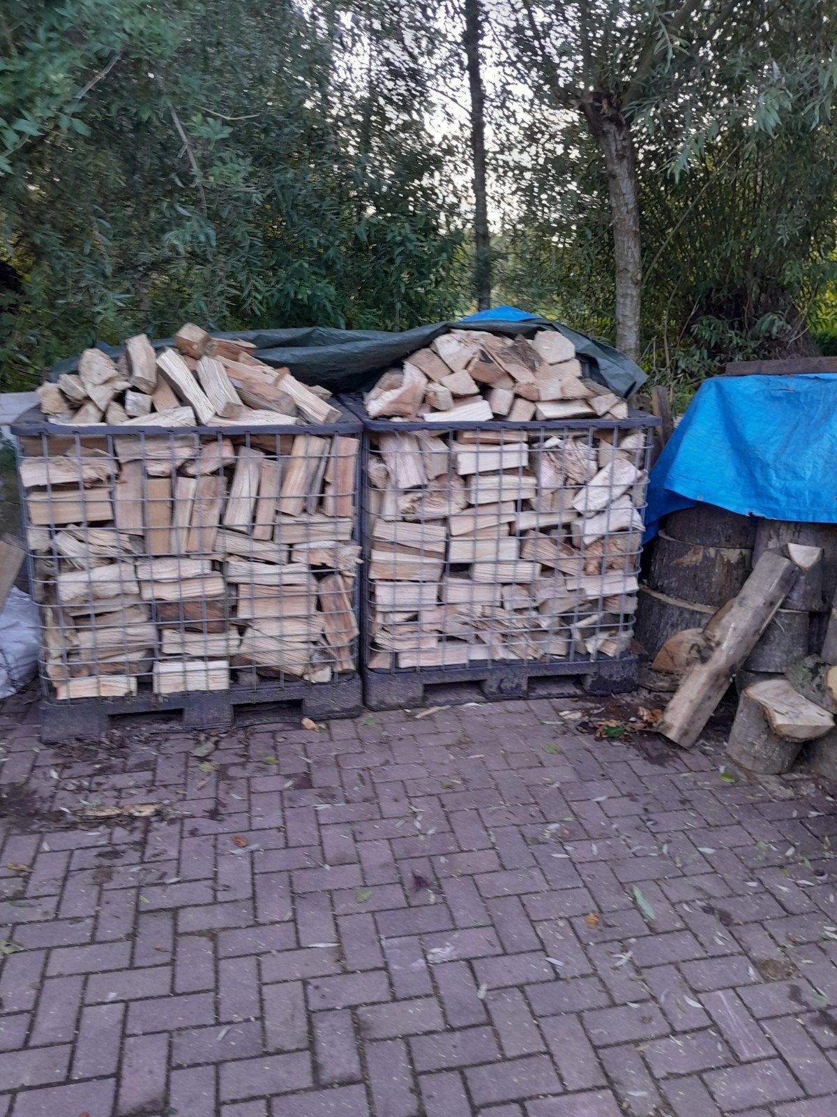 haardhout, beuken of essen, apart gesorteerd, lengte 26/27 c, 3 tot 6 m³, Ophalen