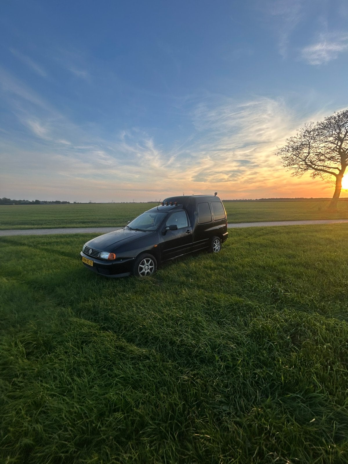 Mmbs vw caddy mk2, Verzenden, Opgezet dier