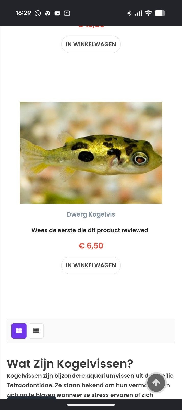 zoetwater vis kogelvis 3 stuks €10, Eén persoon, Cadeaubon