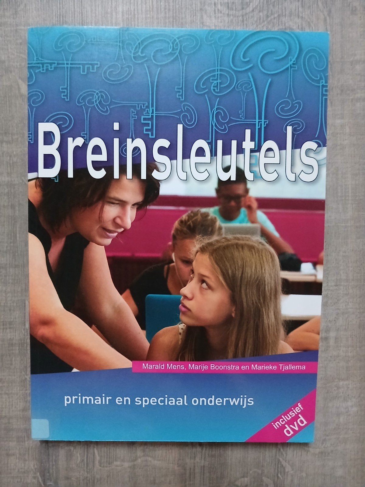 Marije Boonstra - Breinsleutels, Sociale wetenschap, Marije Boonstra; Marald Mens; Marieke Tjallema, Ophalen of Verzenden, Zo goed als nieuw
