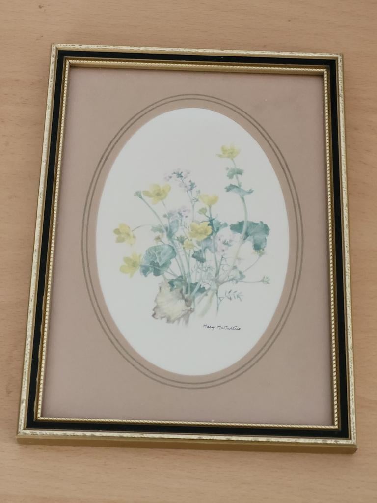 Ingelijste botanische print van Mary McMurtrie, Ophalen of Verzenden