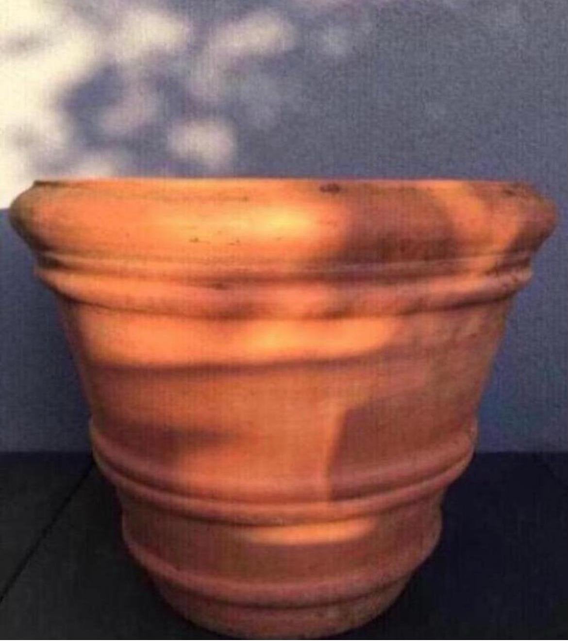 Unieke grote terracotta tuinpot - handwerk 48cm, Ophalen, 40 cm of meer, Rond, Zo goed als nieuw