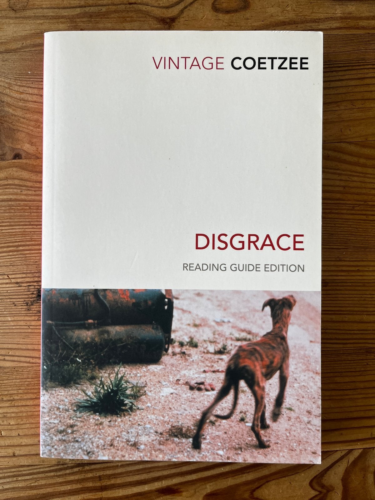 J. M. Coetzee - Disgrace, Boeken, Ophalen of Verzenden, Zo goed als nieuw, Europa overig