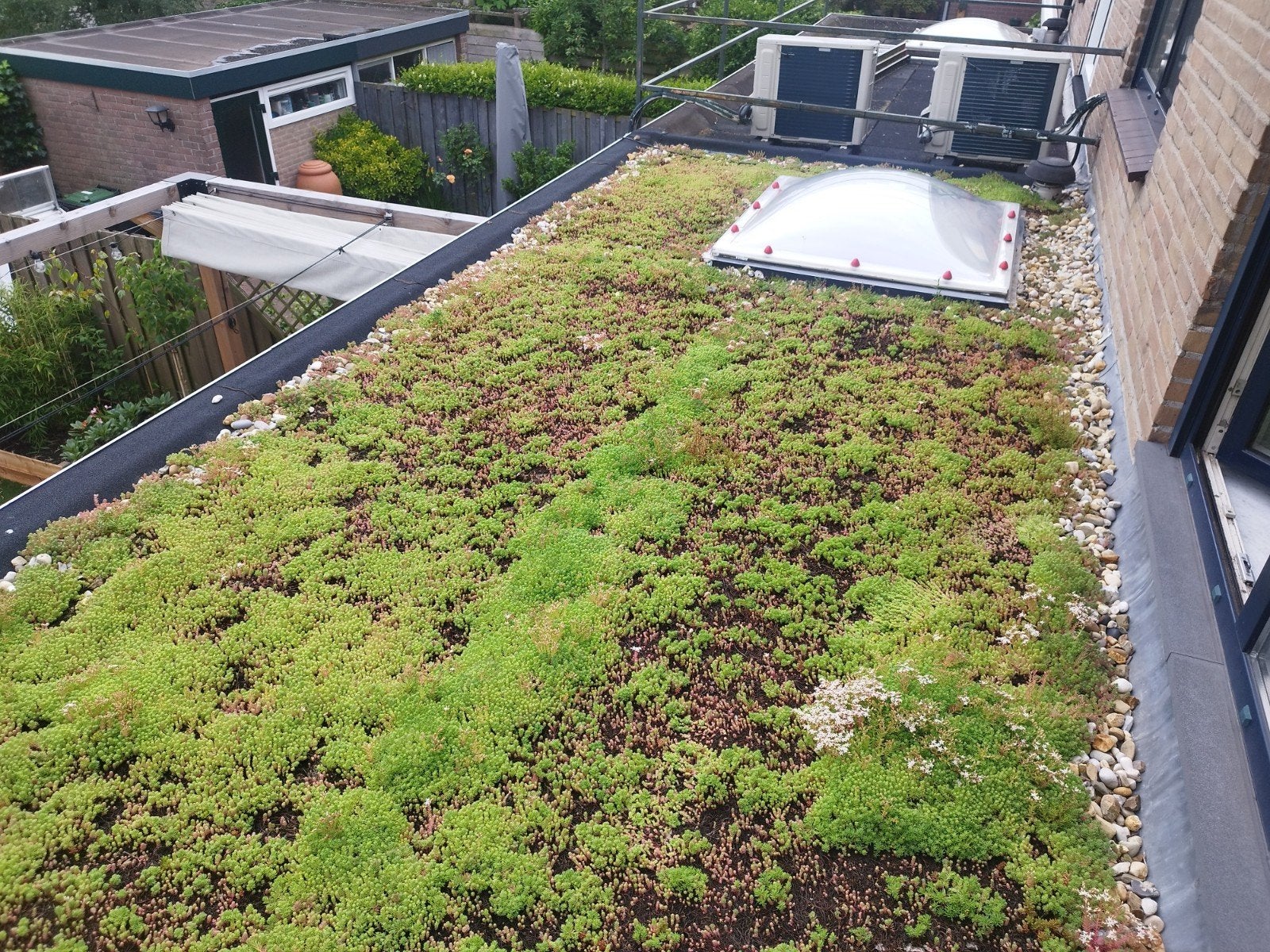 Sedum dak (lichtgewicht / light sedum) compleet, Tuin en Terras, Ophalen
