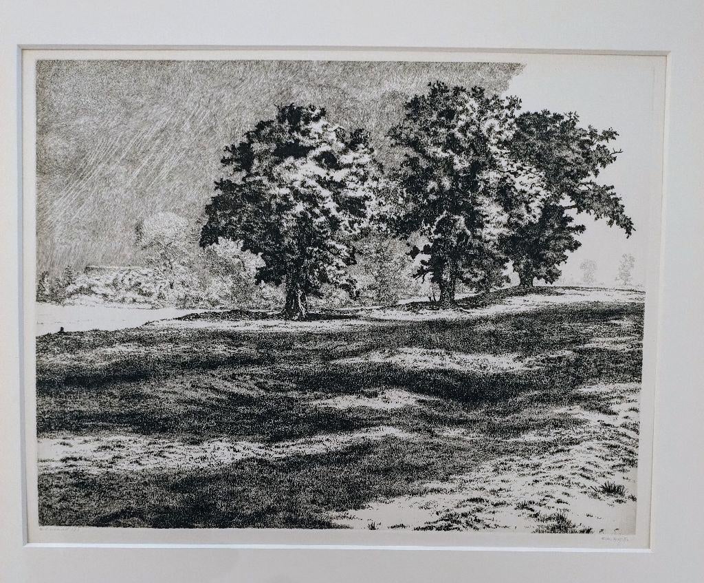 Reinder Homan, Antiek en Kunst, Kunst | Etsen en Gravures, Ophalen