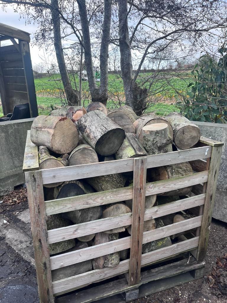 kuub blokken essenhout stammen openhaardhout, Ophalen of Verzenden