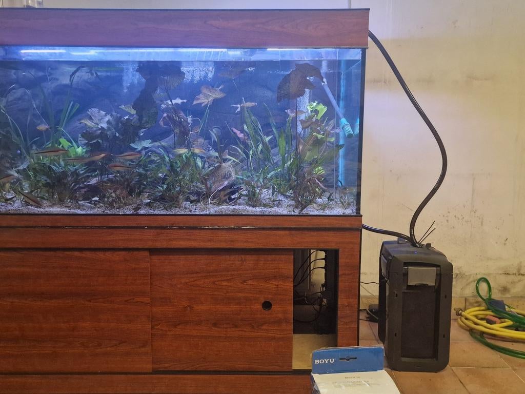 Div aquara op maat.