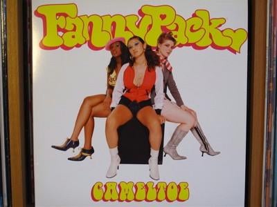 FannyPacky - Cameltoe Vinyl 12 inch, Ophalen of Verzenden, Zo goed als nieuw, 12 inch