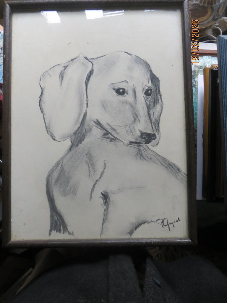 Leuke Tekening van een PUP TECKEL ?? gesigneerd, Ophalen of Verzenden