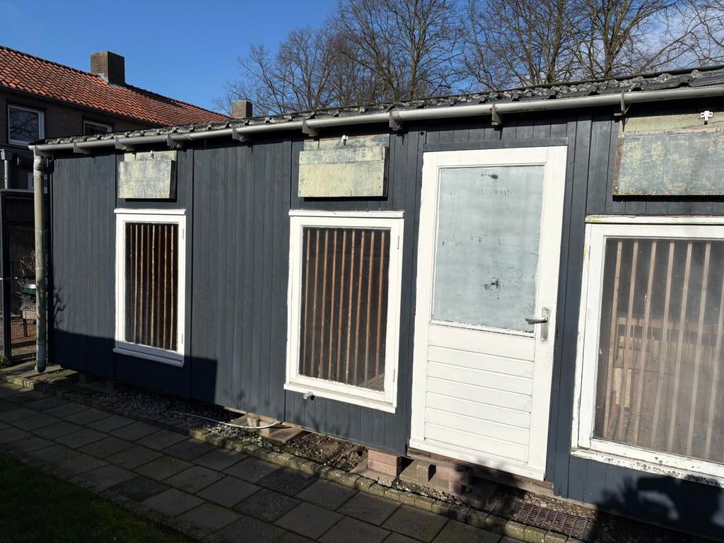 Duivenkooi, Meerdere dieren, Postduif