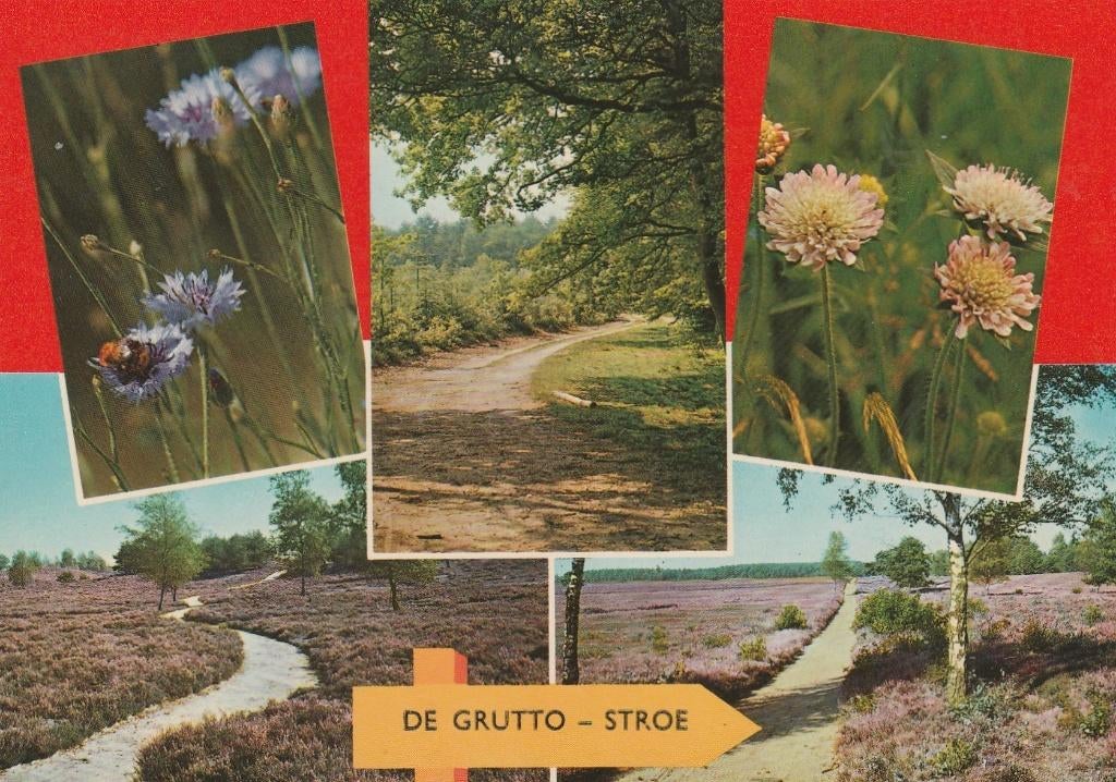 STROE Vakantieoord De Grutto, Verzamelen, Ansichtkaarten | Nederland, Verzenden, 1960 tot 1980, Gelopen, Gelderland