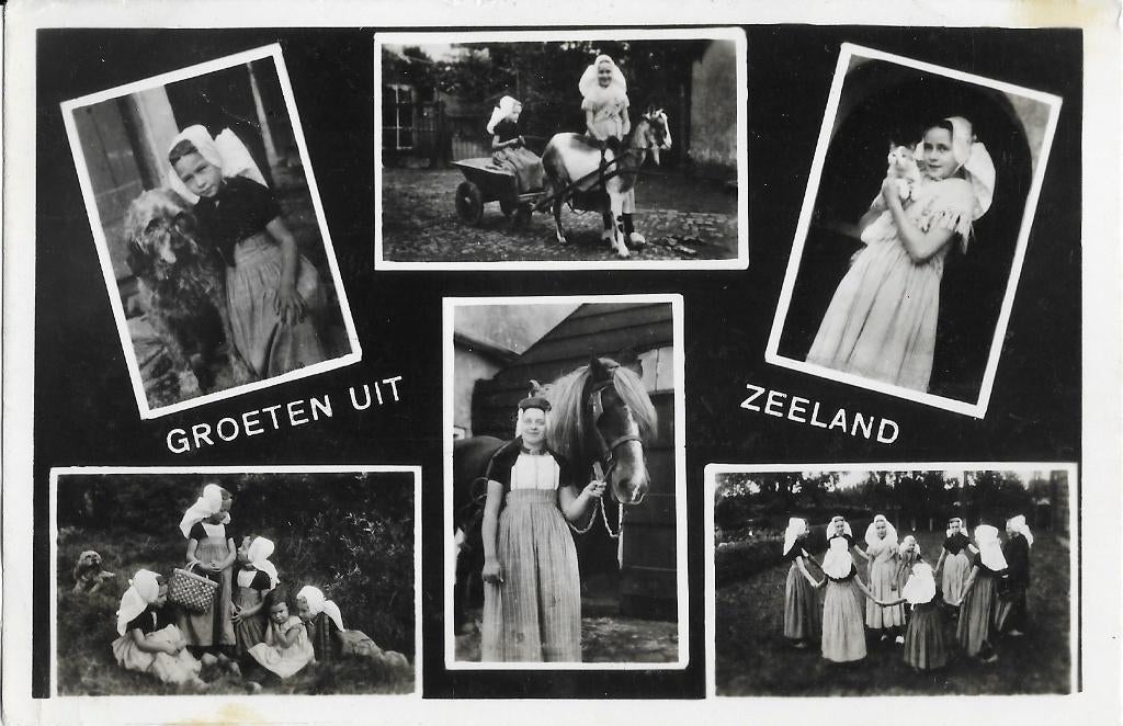 Zeeland, klederdracht, bokkenkar, paard, poes, veel volk, Verzenden, 1940 tot 1960, Gelopen, Zeeland