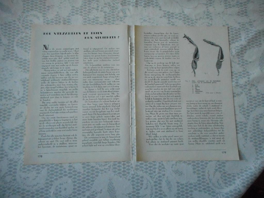 Bijen. Verzamelen stuifmeel. 1939., Verzamelen, Tijdschriften, Kranten en Knipsels, Ophalen of Verzenden, 1920 tot 1940, Nederland
