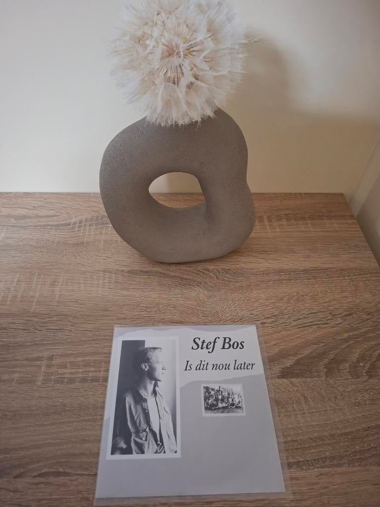 Stef Bos - Herpers Single, Ophalen of Verzenden, Zo goed als nieuw, Nederlandstalig