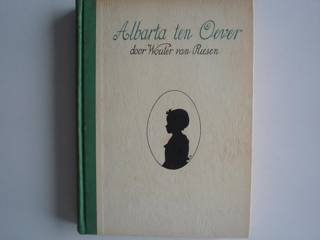Albert ten Oever (8988/91-45) Nu € 6,00, Boeken, Ophalen of Verzenden, Zo goed als nieuw, Overige onderwerpen, Achtergrond en Informatie
