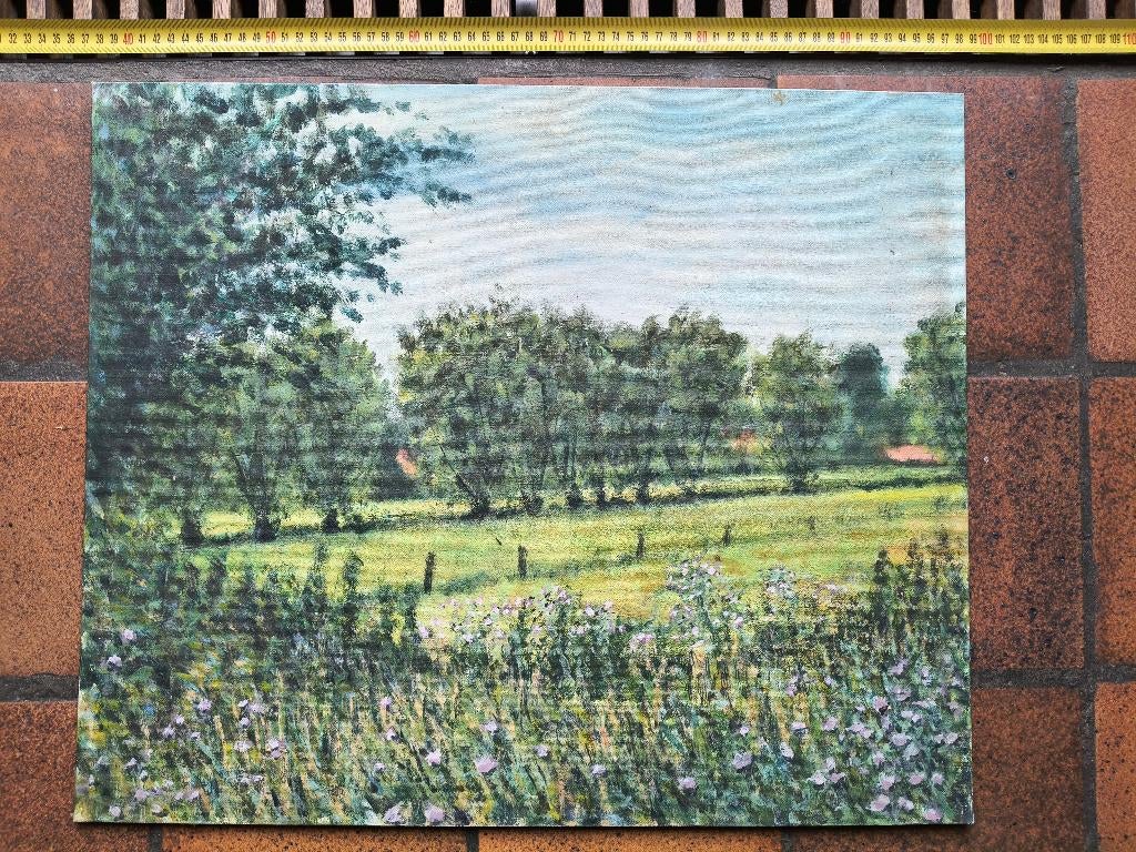 olieverf schilderij Velden en Weiden PMG Goltstein, Ophalen