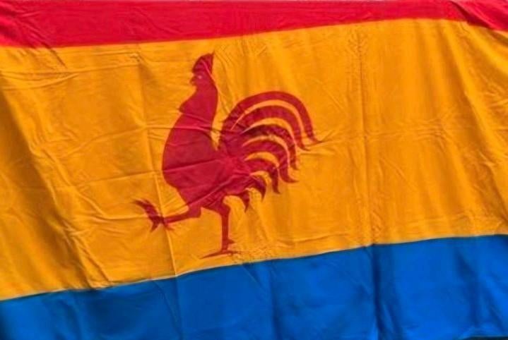 Katoenen  katoen venlo VG Jocus vlag van het groot formaat, Ophalen of Verzenden, Gebruikt