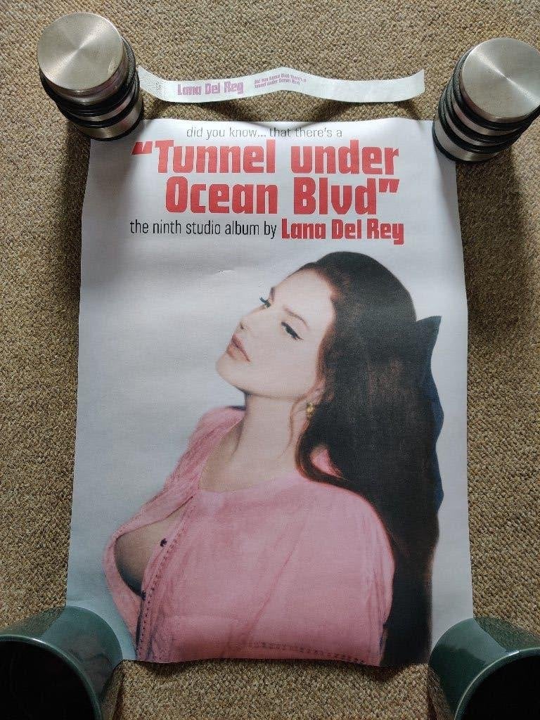 Lana Del Rey – Ocean Blvd Lithograph ZELDZAAM 43x 32 cm, Verzenden, Gebruikt, Poster, Artwork of Schilderij