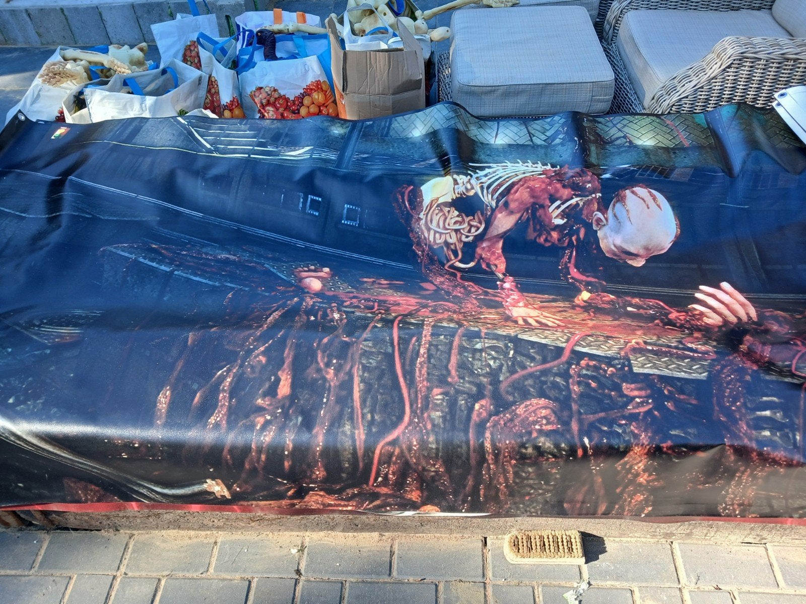 Griezelige Halloween Banner - Skelet en ingewanden, Ophalen, Zo goed als nieuw, Feestartikel, Halloween of Griezel