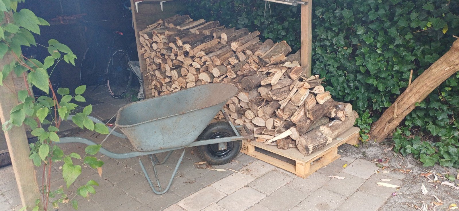 Droog haardhout mix Essen, Eiken Wilg 1,5 kuub, Minder dan 3 m³, Ophalen