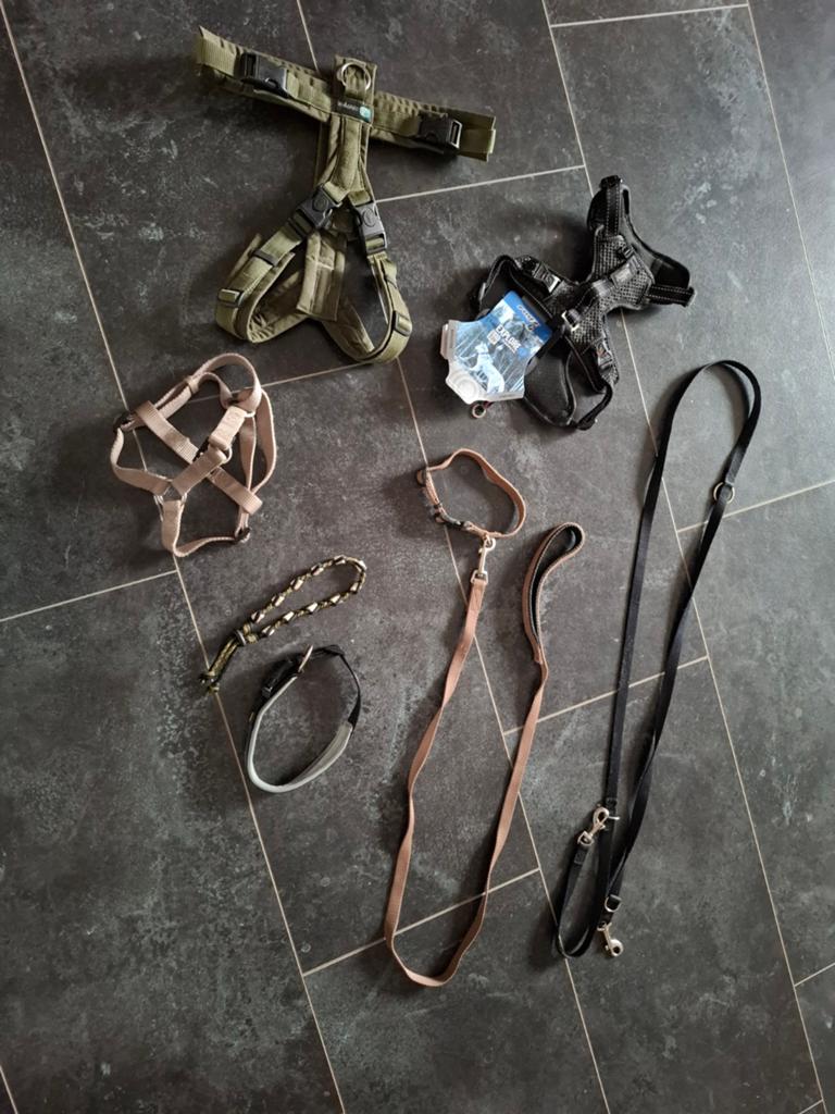 Honden riemen, tuigjes en halsband, Dieren en Toebehoren, Ophalen of Verzenden, Zo goed als nieuw, Hondenriem
