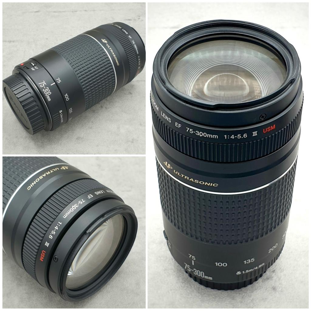 Canon EF 75-300 mm Telelens F4-5.6 MK III Zoomlens USM, Audio, Tv en Foto, Fotografie | Lenzen en Objectieven, Ophalen of Verzenden
