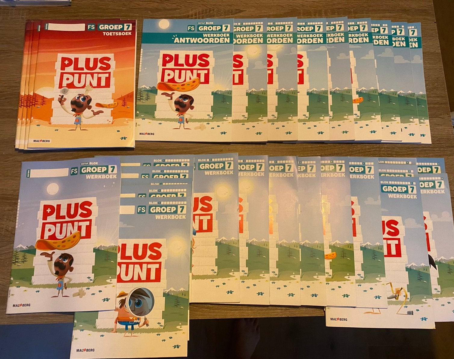 Pluspunt groep 7 FS (werkboeken, toetsboeken en antwoorden), Ophalen of Verzenden, Nieuw, Overige niveaus, Nederlands